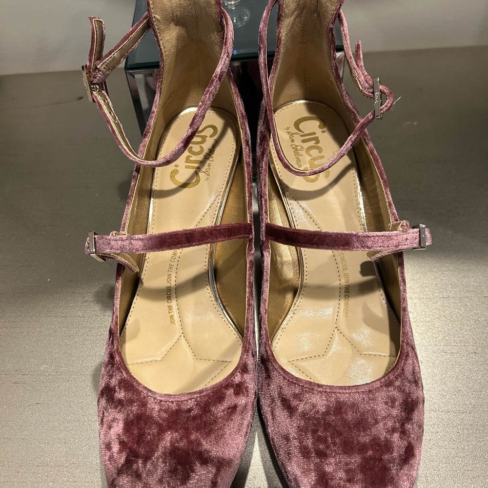 Circus by Sam Edelman Dusty Rose Velvet Mary Jane Block Heels - Picture 2 of 7